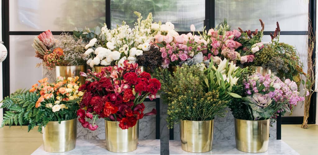 flores
