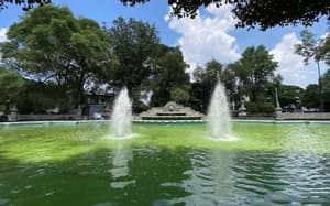 Plaza California: la fuente monumental que aún guarda la memoria de la Del Valle