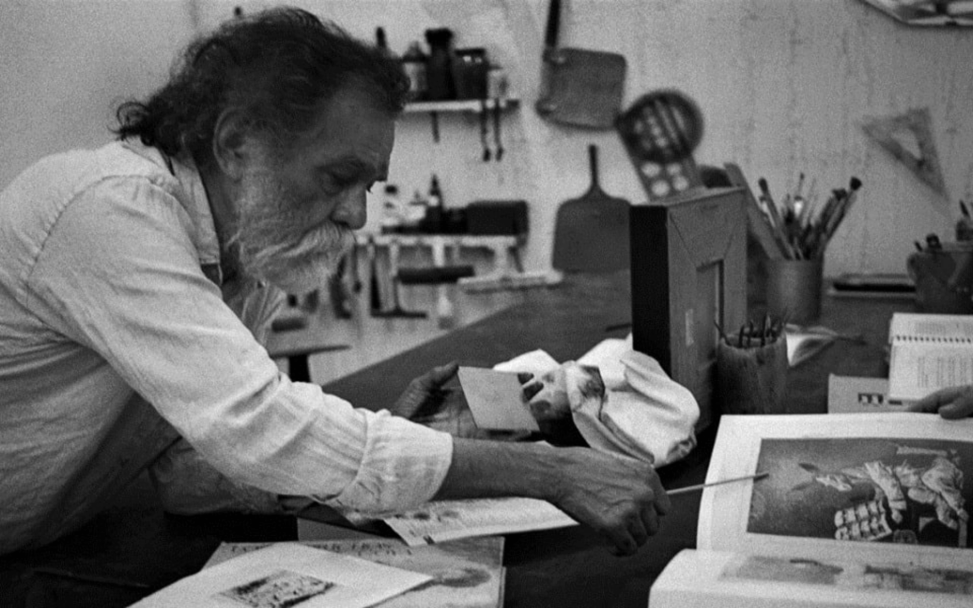 francisco toledo