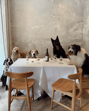 dia de la pasta