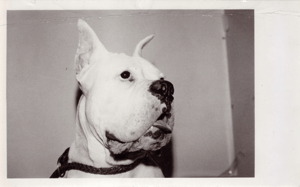 Andy Warhol en Casa del Lago: las polaroids, la mirada y el instante